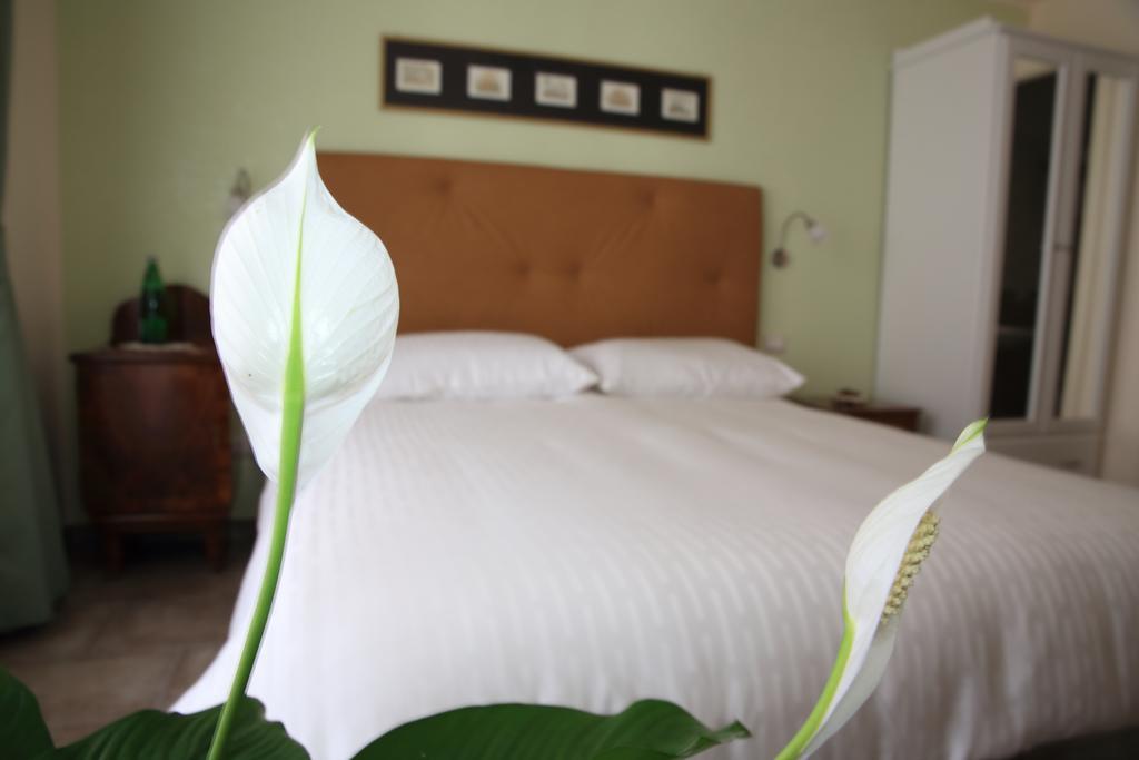 Anice Guesthouse ローマ エクステリア 写真