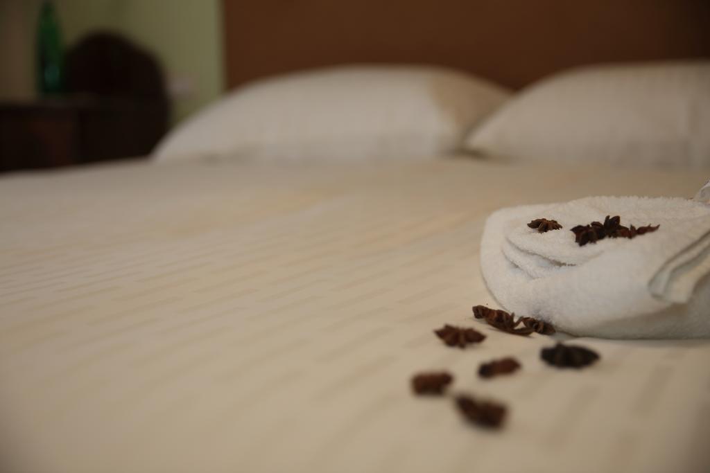 Anice Guesthouse ローマ エクステリア 写真